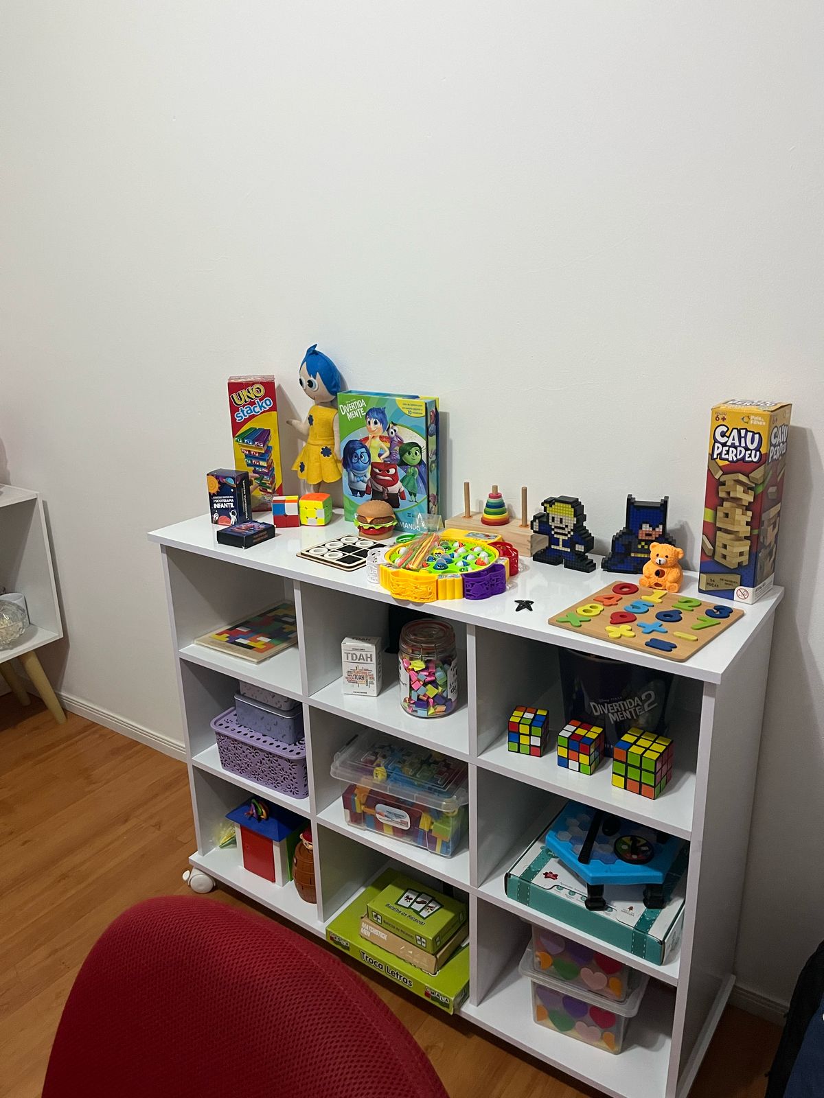 Estante onde fica os livros de Cíntia Almeida